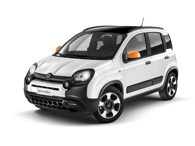 Panda Connected by Wind