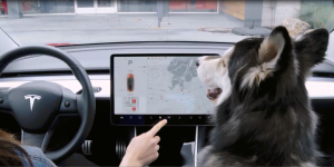 Tesla Dog Mode