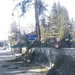 Maltempo: vento forte, danni nella località turistica degli Altipiani di Arcinazzo [GALLERY]