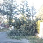 Maltempo: vento forte, danni nella località turistica degli Altipiani di Arcinazzo [GALLERY]