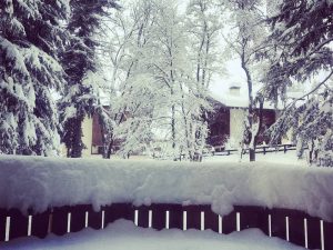 cortina