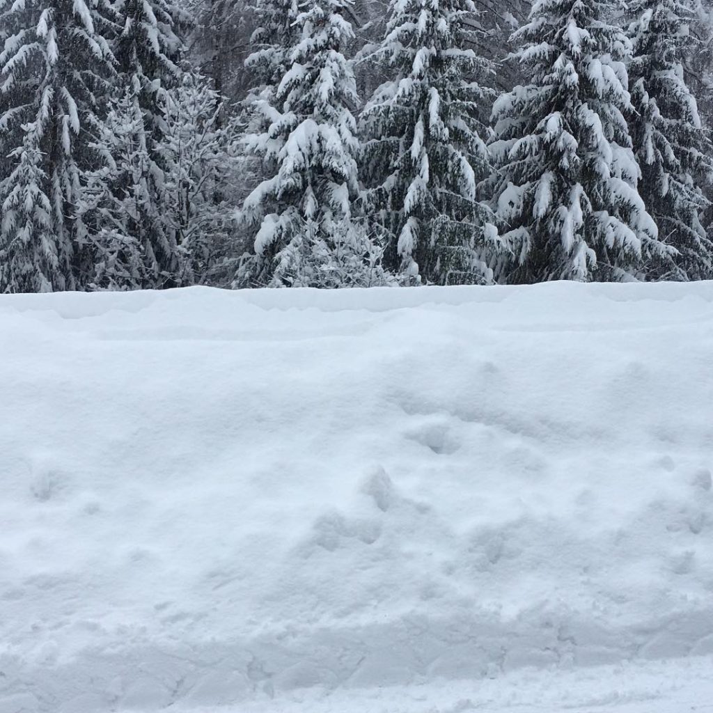 cortina