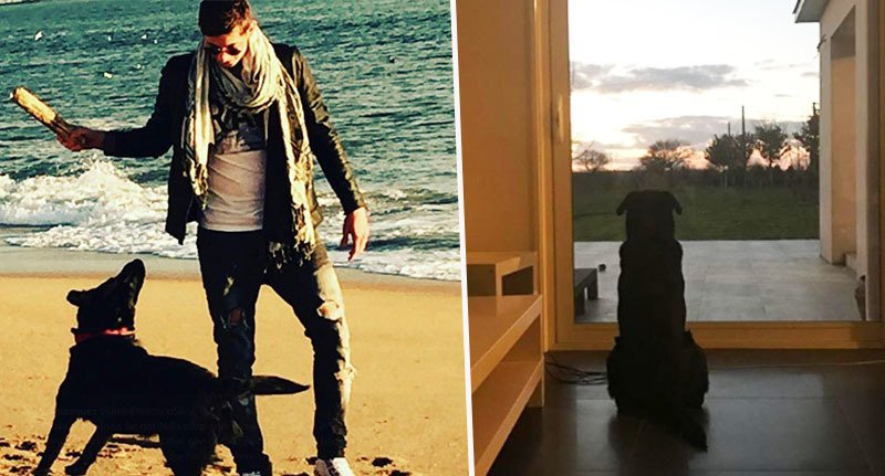 emiliano sala cane