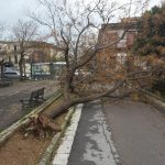 Maltempo, Sicilia Sud/Orientale devastata dal Ciclone: vento a 120km/h, danni e feriti [FOTO]