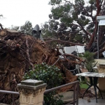 Maltempo, Sicilia Sud/Orientale devastata dal Ciclone: vento a 120km/h, danni e feriti [FOTO]