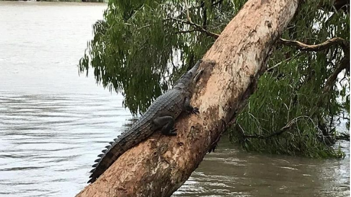 inondazioni australia