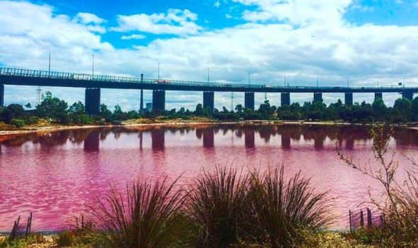 lago rosa australia