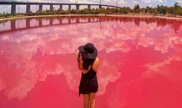 lago rosa australia