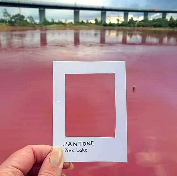 lago rosa australia