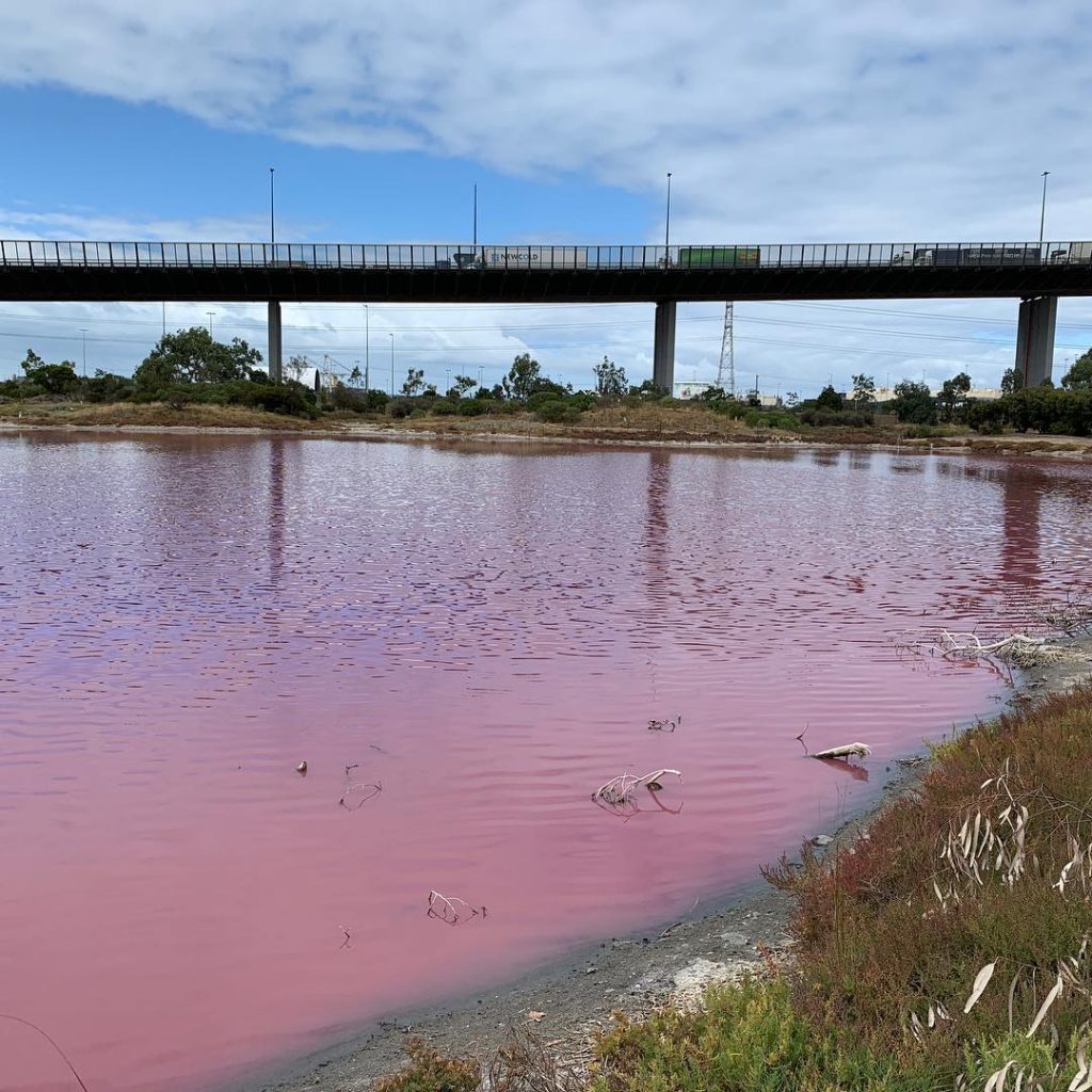 lago rosa australia
