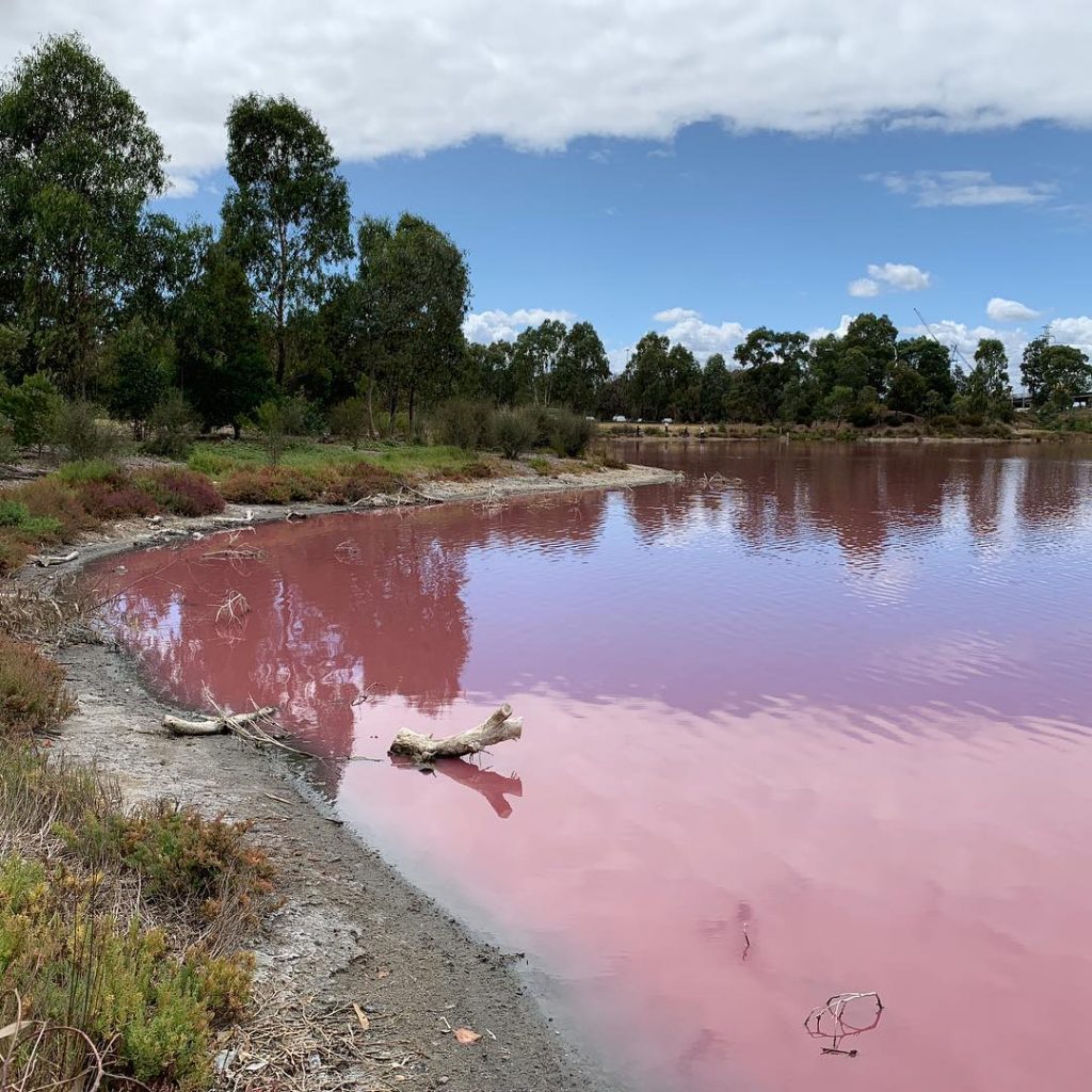 lago rosa australia