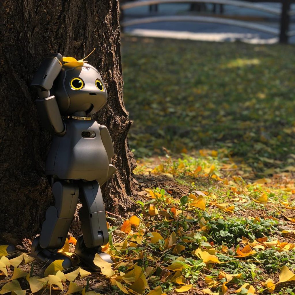 liku robot 2