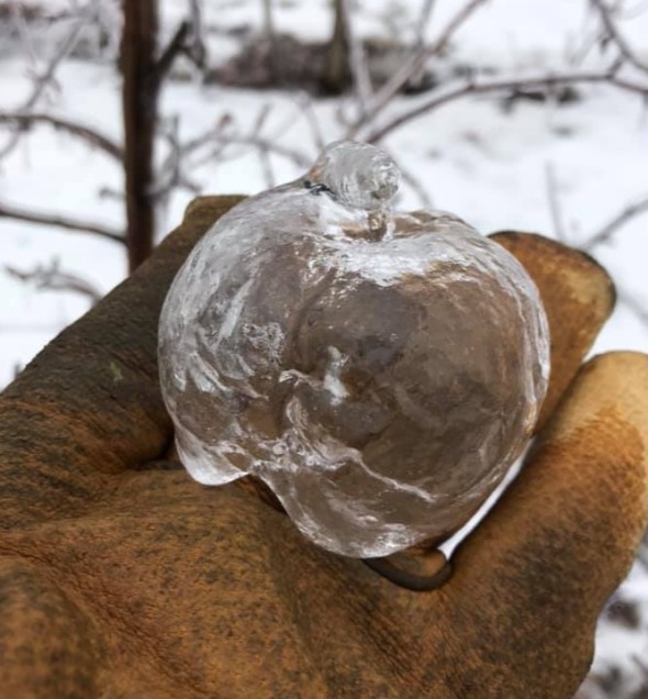 mele di ghiaccio michiga