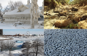 meteo estremo gennaio 2019