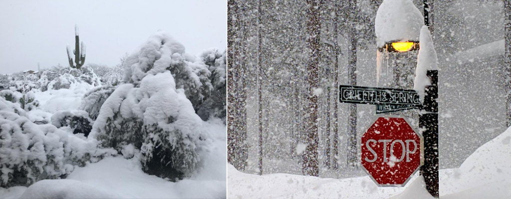 neve arizona