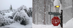 neve arizona