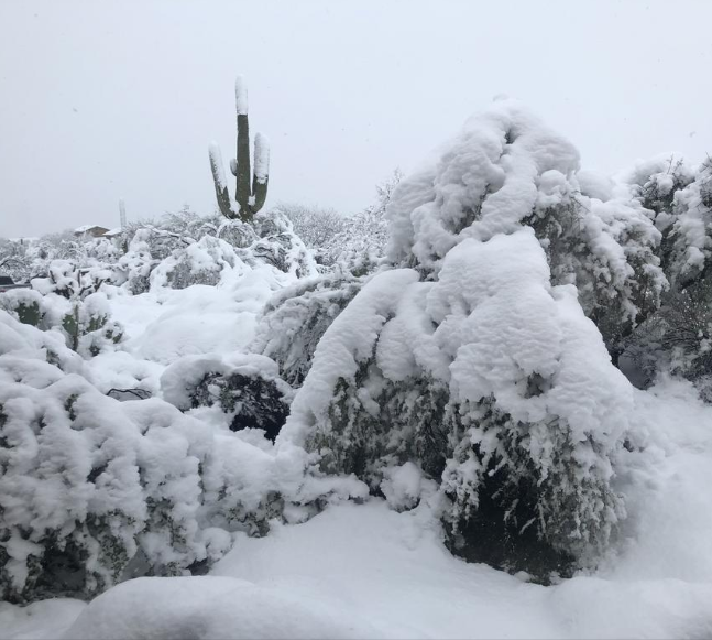 neve deserto arizona