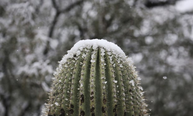 neve deserto arizona