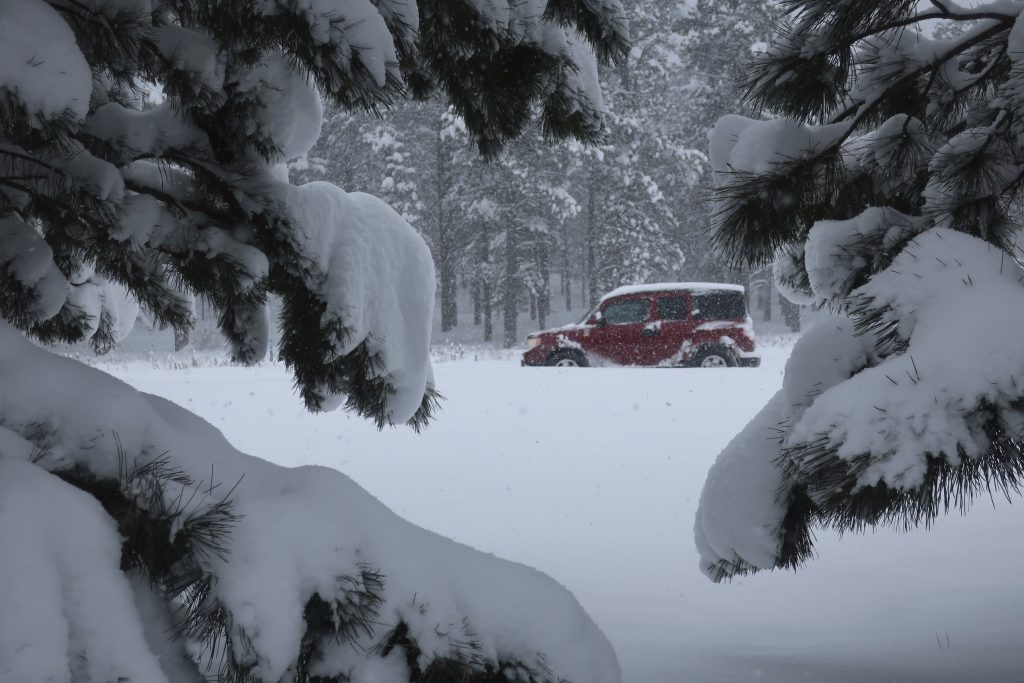 neve arizona