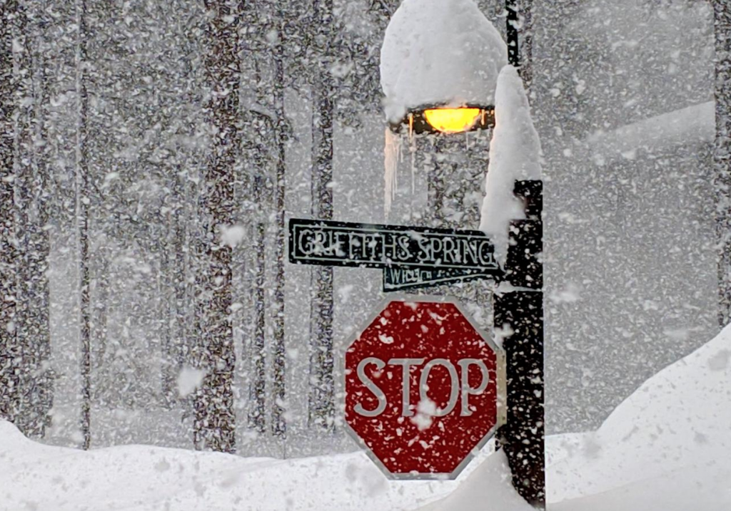 neve arizona