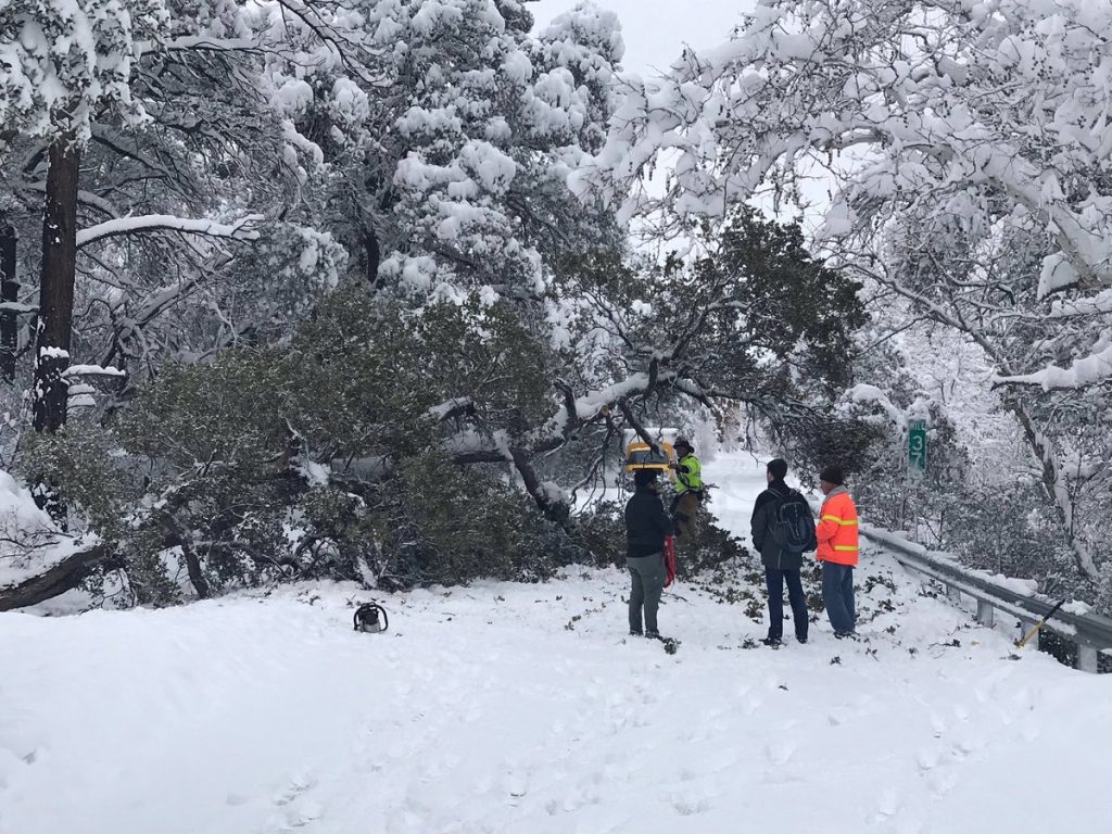 neve arizona
