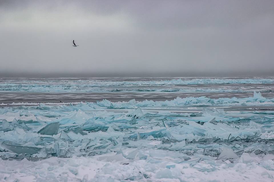 neve ghiaccio usa