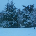 Maltempo Piemonte: neve a Torino e scuole chiuse in molte città [GALLERY]
