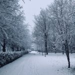 Maltempo Piemonte: neve a Torino e scuole chiuse in molte città [GALLERY]