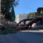 Forte vento, disastro a Roma: enorme pino abbattuto al Gianicolo vicino il Fontanone, città nel caos. Tre morti [FOTO e VIDEO]