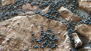 strane scoperte marte