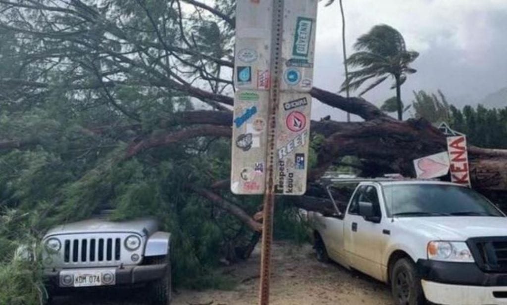 tempesta invernale hawaii