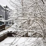USA, tempesta di neve record in Oregon e Washington: centinaia di voli cancellati, migliaia di persone senza elettricità [FOTO]