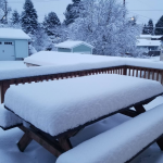 USA, tempesta di neve record in Oregon e Washington: centinaia di voli cancellati, migliaia di persone senza elettricità [FOTO]