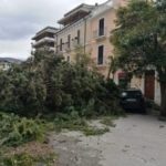 Maltempo, fortissimi venti seminano caos e distruzione in Abruzzo: case scoperchiate e alberi abbattuti [FOTO e VIDEO]