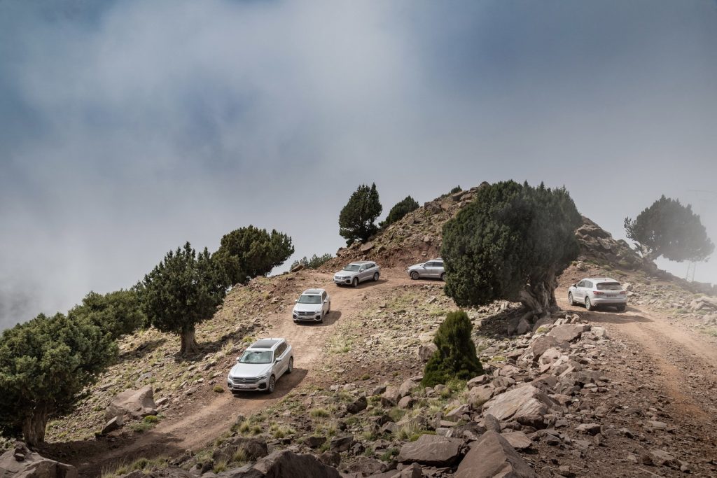 volkswagen TOUAREG V8 TDI 2019