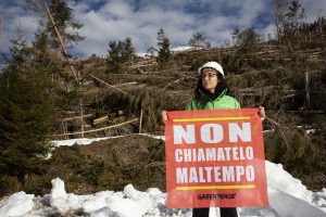 Greenpeace 