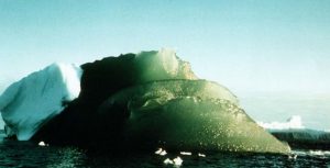 iceberg verdi