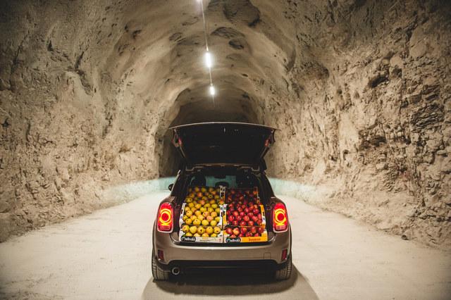 Mini Cooper S E Countryman All4