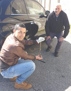 Salvataggio vipera Sila