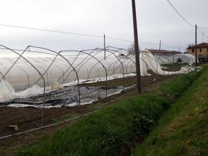 coldiretti serre frutteti