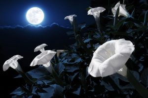 equinozio primavera superluna