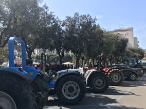 olivicoltori lecce