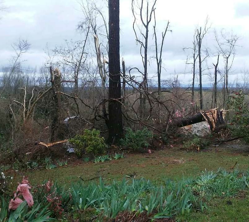 tornado alabama