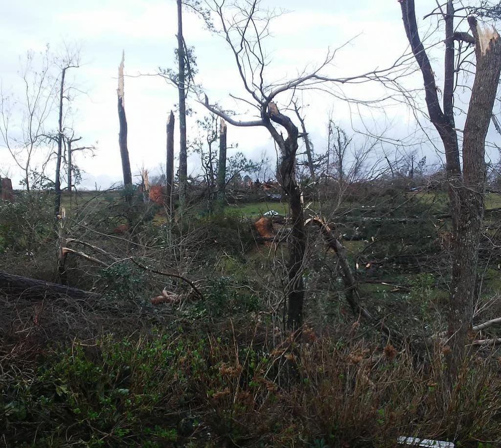 tornado alabama