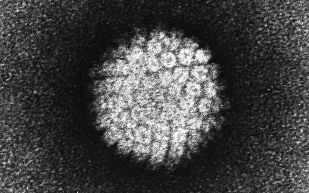 tumore papilloma virus tumori hpv