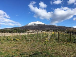 vesuvio