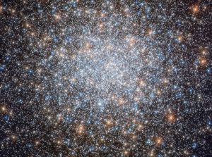 Hubble cani da caccia