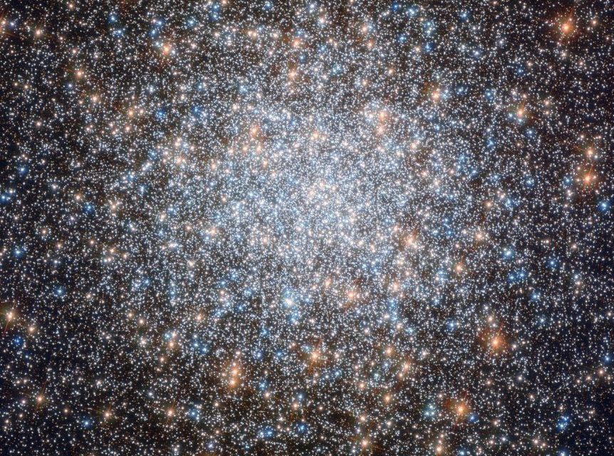 Hubble cani da caccia