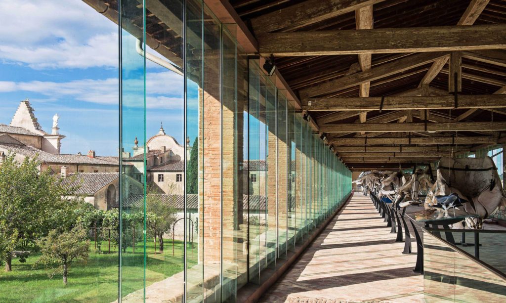 La galleria dei cetacei Museo Storia NAturale Calci Pisa (foto di Giovanna Passerai)
