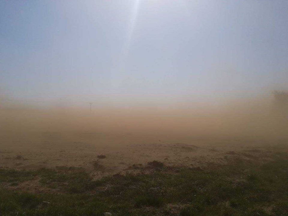 Sabbia sahara polonia